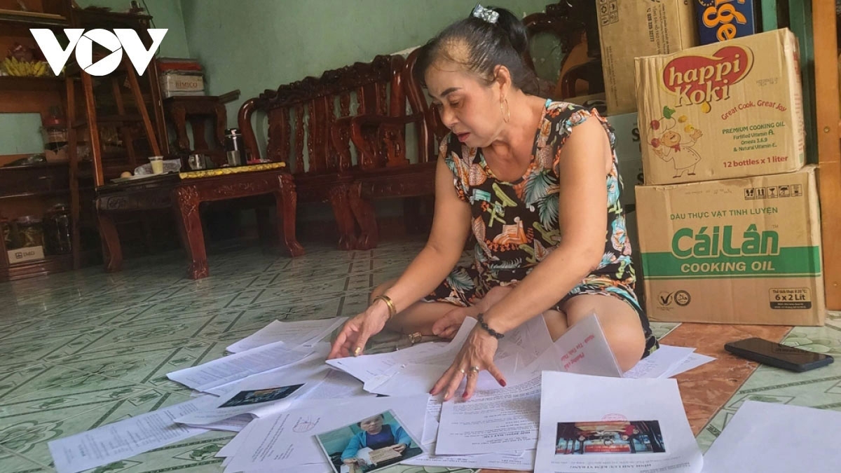 tai tham vu nguyen pho chu tich hoi chu thap do dung so gia vay tien hinh anh 1