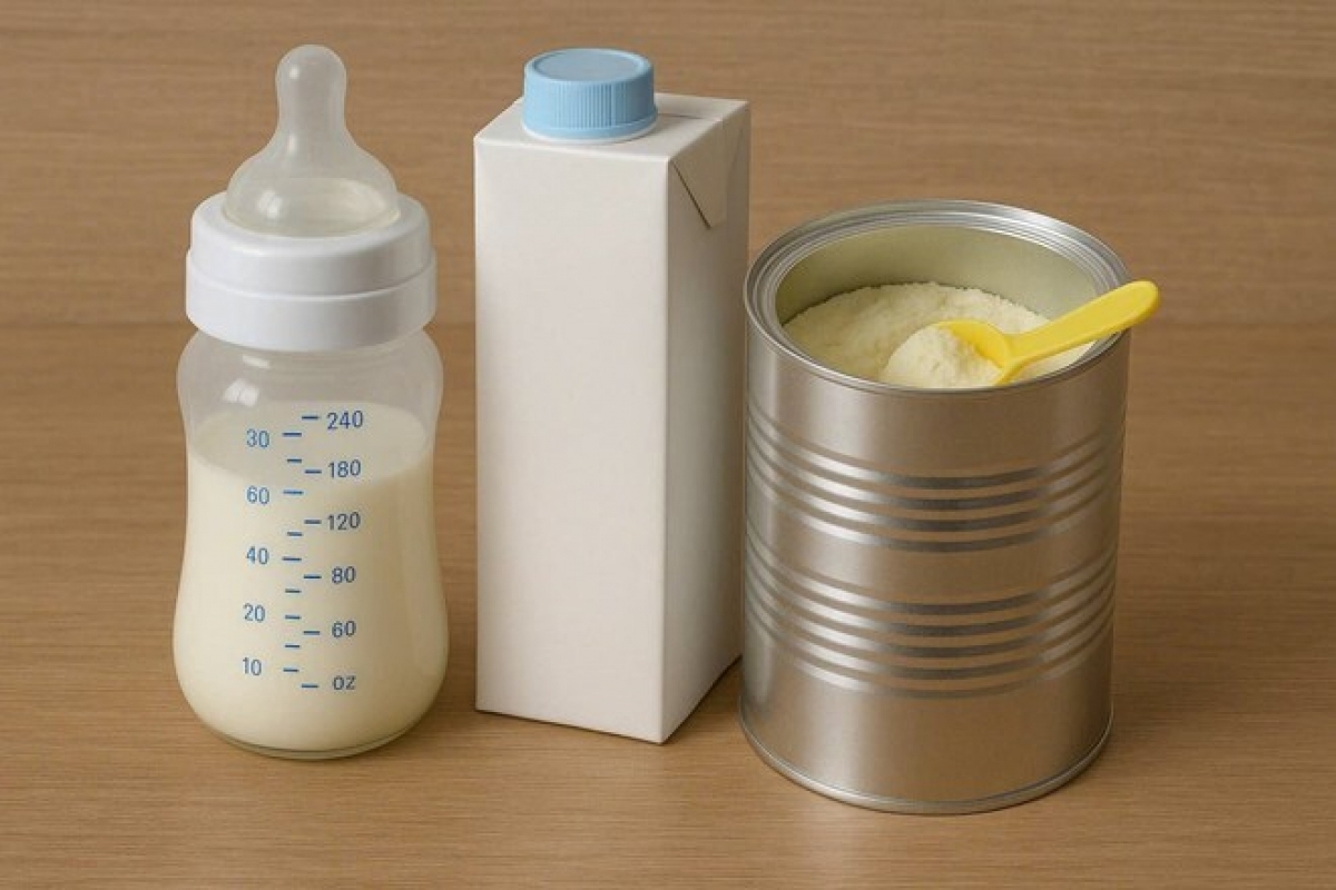 Thu hồi nhiều lô sữa công thức: Cảnh báo rủi ro từ vi khuẩn Bacillus cereus