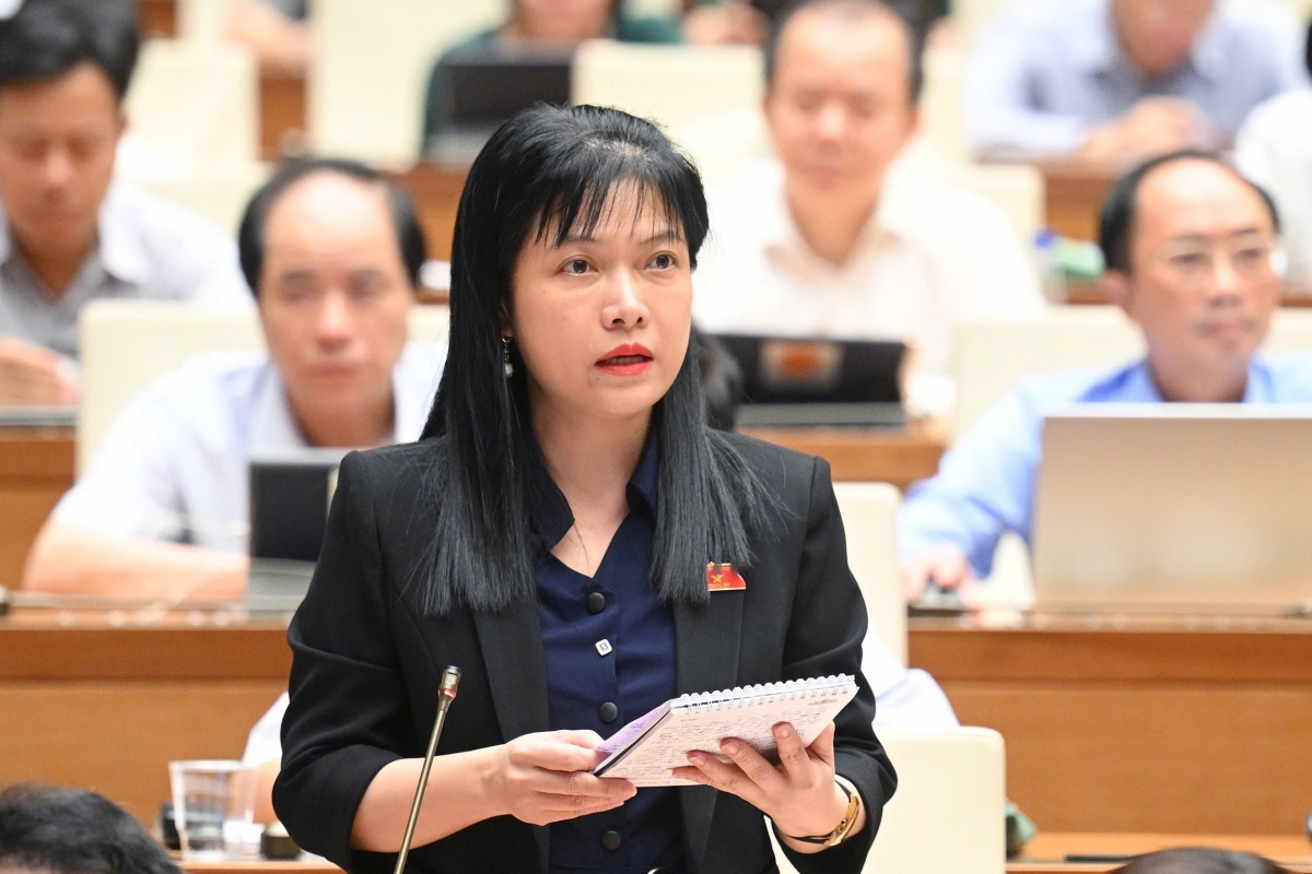 nu dai bieu va ky vong nang cao chat luong nghi truong trong nhiem ky moi hinh anh 3