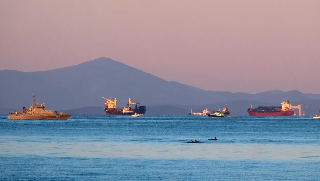 nga xem xet trien khai tau hai quan ho tong tau thuong mai hinh anh 1