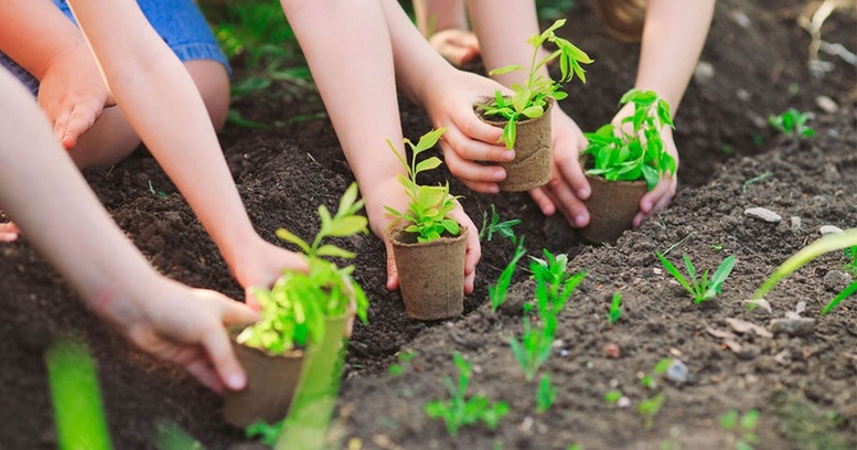 Sơn La triển khai kế hoạch trồng gần 100ha rừng thay thế