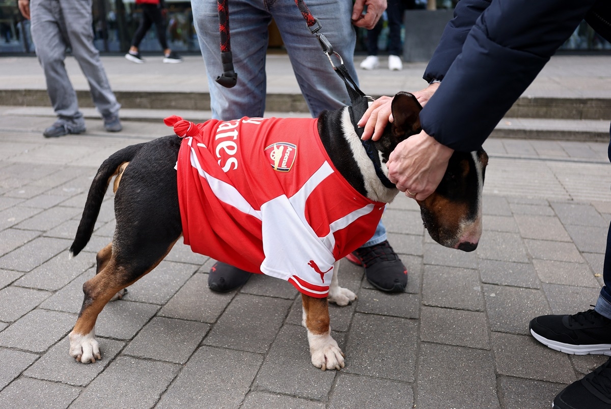 truc tiep arsenal 0-0 man city cho ban mo ty so tran chung ket cup lien Doan anh hinh anh 17