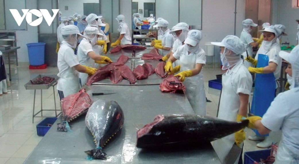 flexible market shifts help sustain tuna exports in early 2026 picture 1