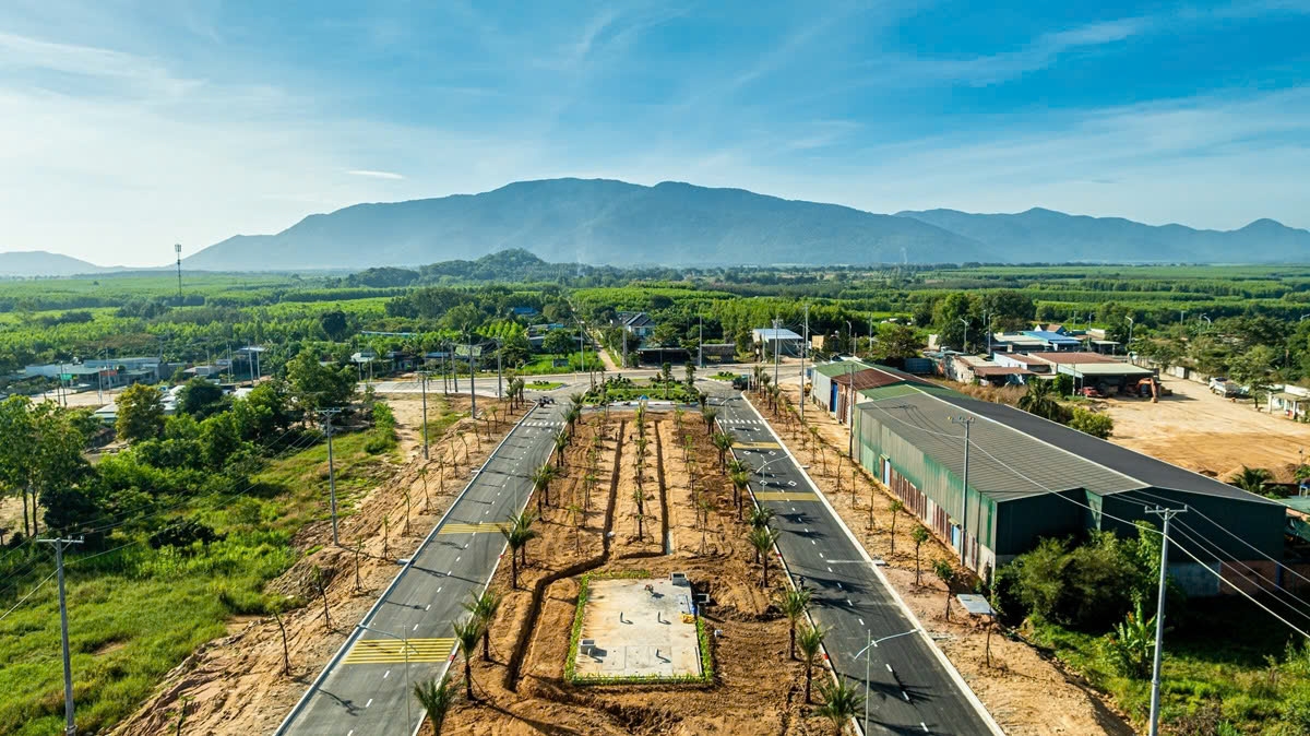 lam Dong go kho cho du an khu cong nghiep tan Duc hinh anh 2