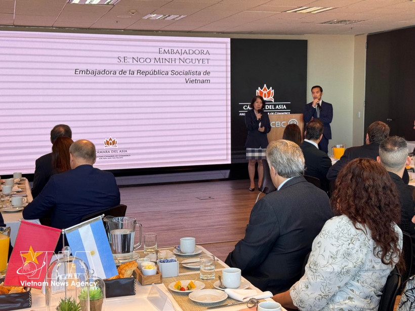 vietnam, argentina promote trade, investment cooperation picture 1