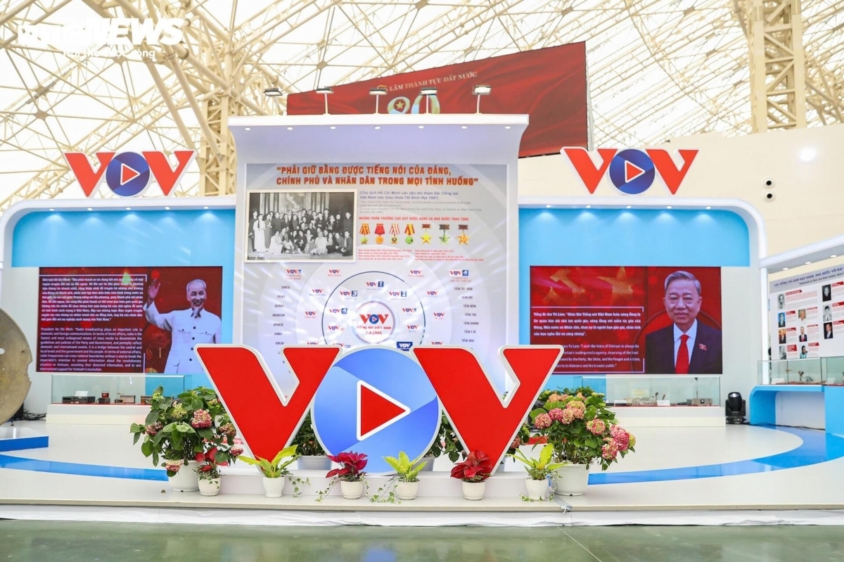 vov dang dinh vi la mot truc tin cay, tu mot lan song sang mot he sinh thai hinh anh 1