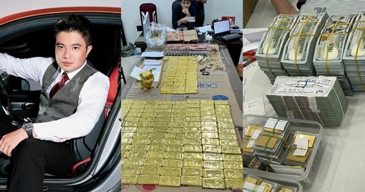 boc go de che lua dao 5.300 ty cua mr. pips dau an lang tham cua trinh sat tre hinh anh 1