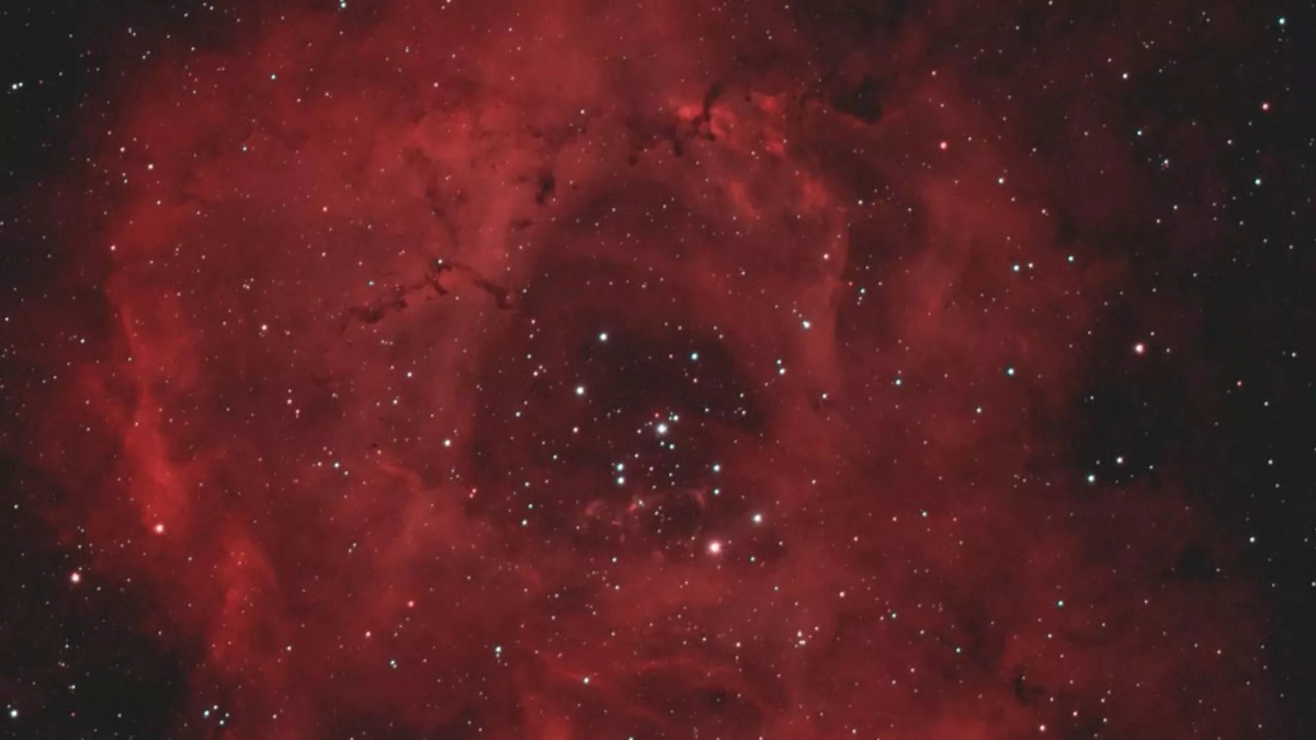 nga cong bo hinh anh tinh van tuyet dep nhan ngay quoc te phu nu 8 3 hinh anh 1