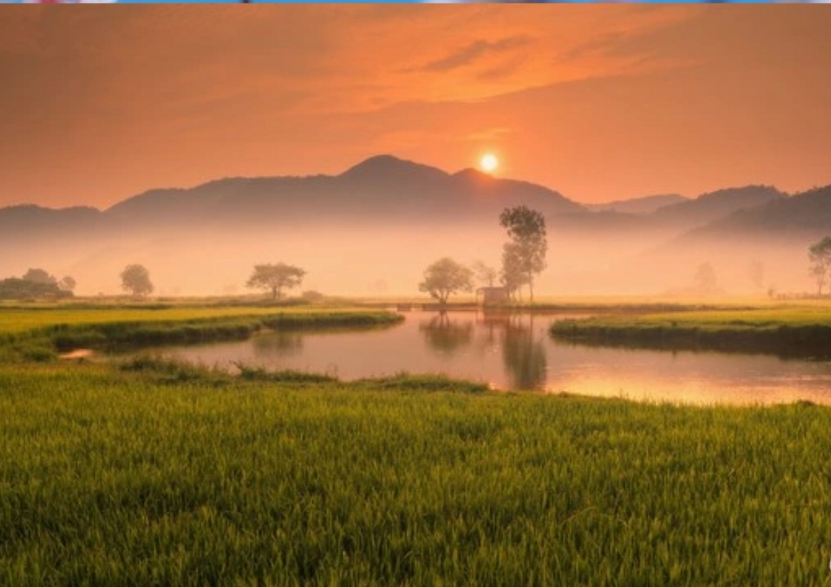 hom nay nguoi viet don tiet xuan phan 20 3, can luu y gi hinh anh 2