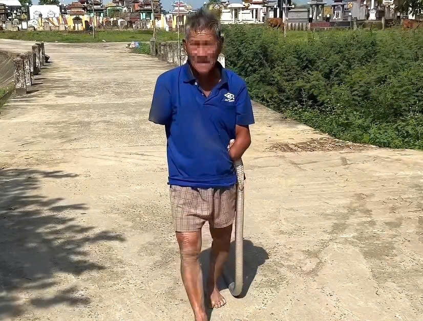 cu ong phai di cap cuu sau khi kep con ran can minh ve nha hinh anh 1