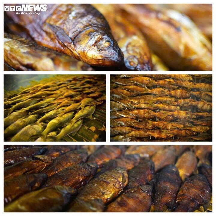 nguoc dong song krong no san loai ca quy hiem o lam Dong cung ba con k ho hinh anh 13