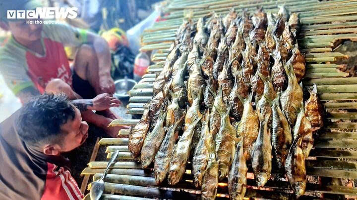 nguoc dong song krong no san loai ca quy hiem o lam Dong cung ba con k ho hinh anh 11