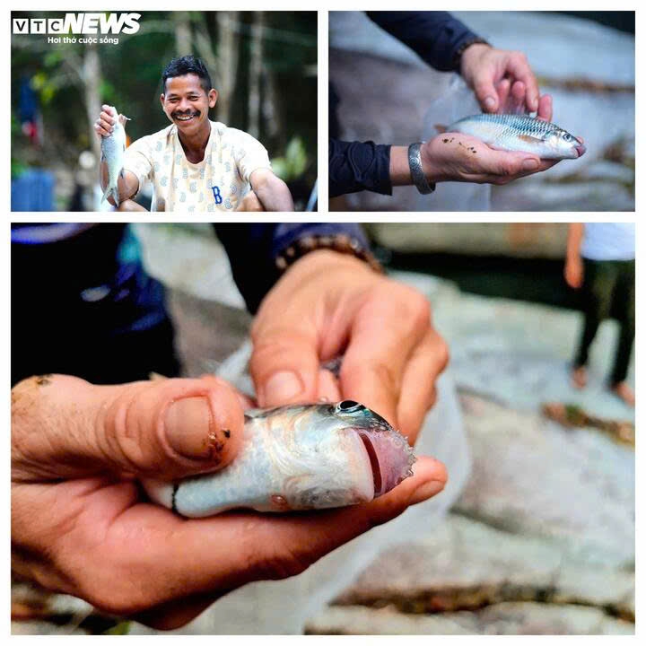 nguoc dong song krong no san loai ca quy hiem o lam Dong cung ba con k ho hinh anh 6