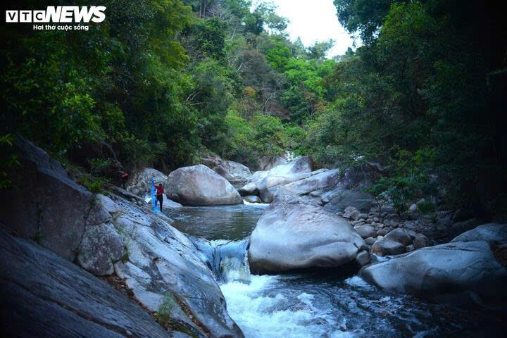 nguoc dong song krong no san loai ca quy hiem o lam Dong cung ba con k ho hinh anh 3