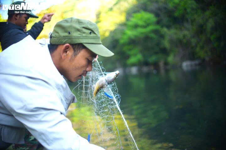 nguoc dong song krong no san loai ca quy hiem o lam Dong cung ba con k ho hinh anh 16