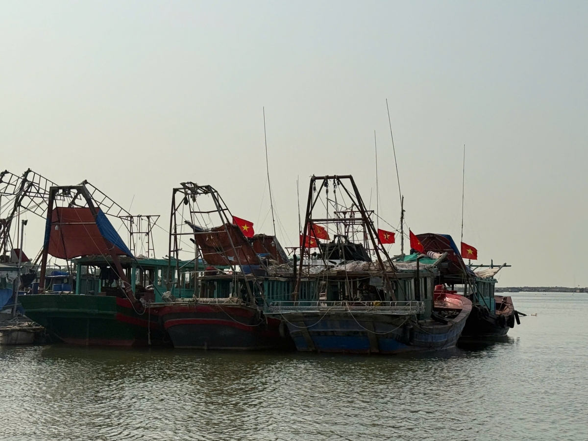 Quảng Ninh siết chặt quản lý, không để phát sinh vi phạm khai thác IUU