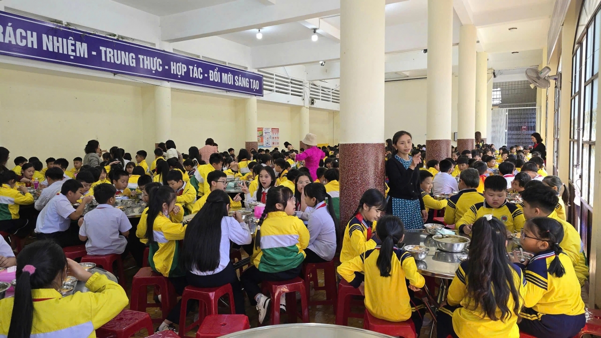 thit lon benh tuon vao nhieu truong mam non, tieu hoc o ha noi lo hong giam sat hinh anh 2