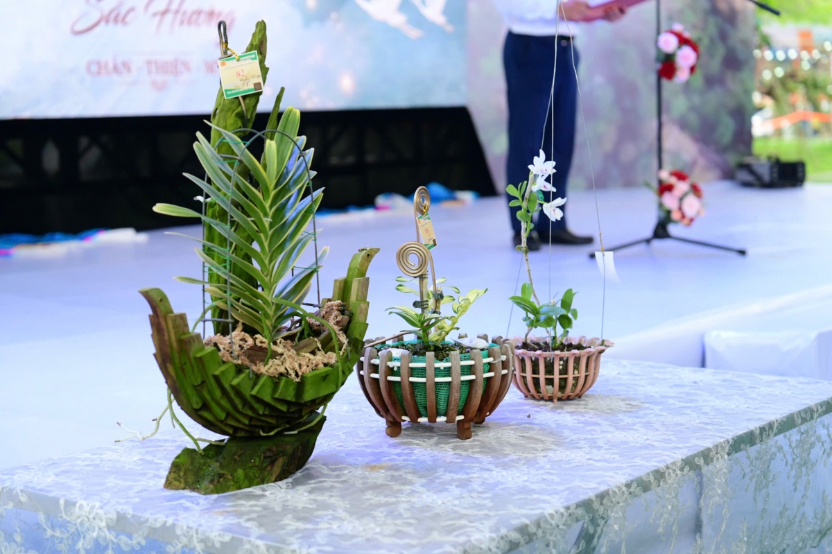 Khai mạc Triển lãm Hoa lan nghệ thuật toàn quốc lần thứ III tại Đền Hùng