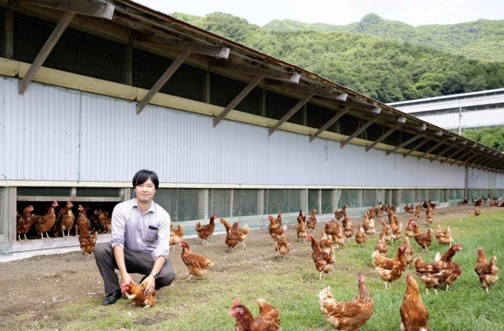 vi sao nguoi nhat ban an trung ga song ma khong lo hai suc khoe hinh anh 4