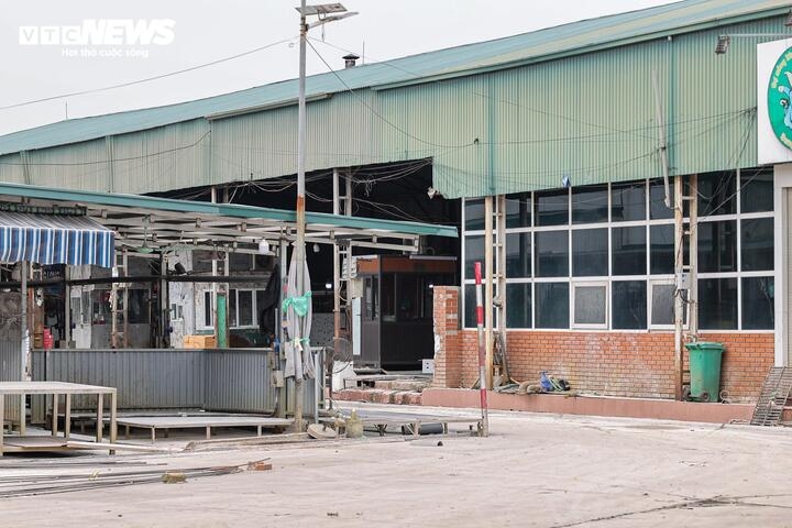 can canh lo mo tuon gan 300 tan lon benh vao truong hoc, cho dau moi o ha noi hinh anh 10