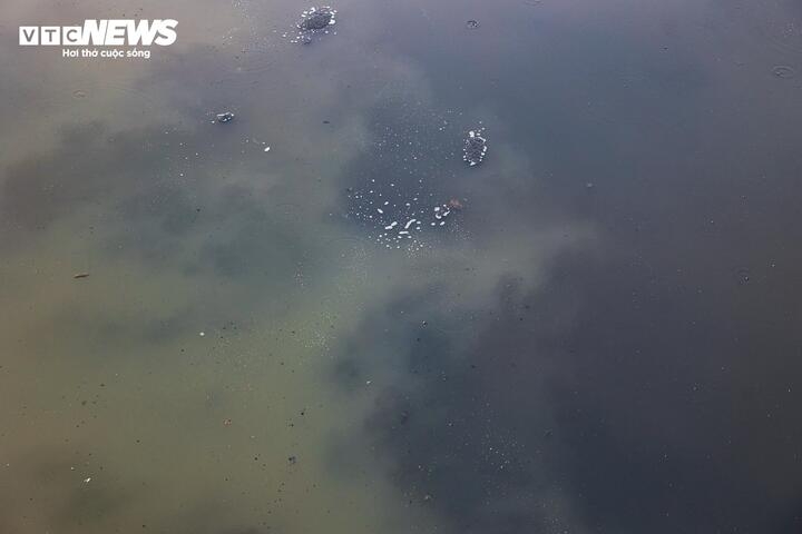 sau 6 thang hoi sinh, dong song chet o ha noi thay doi ra sao hinh anh 11