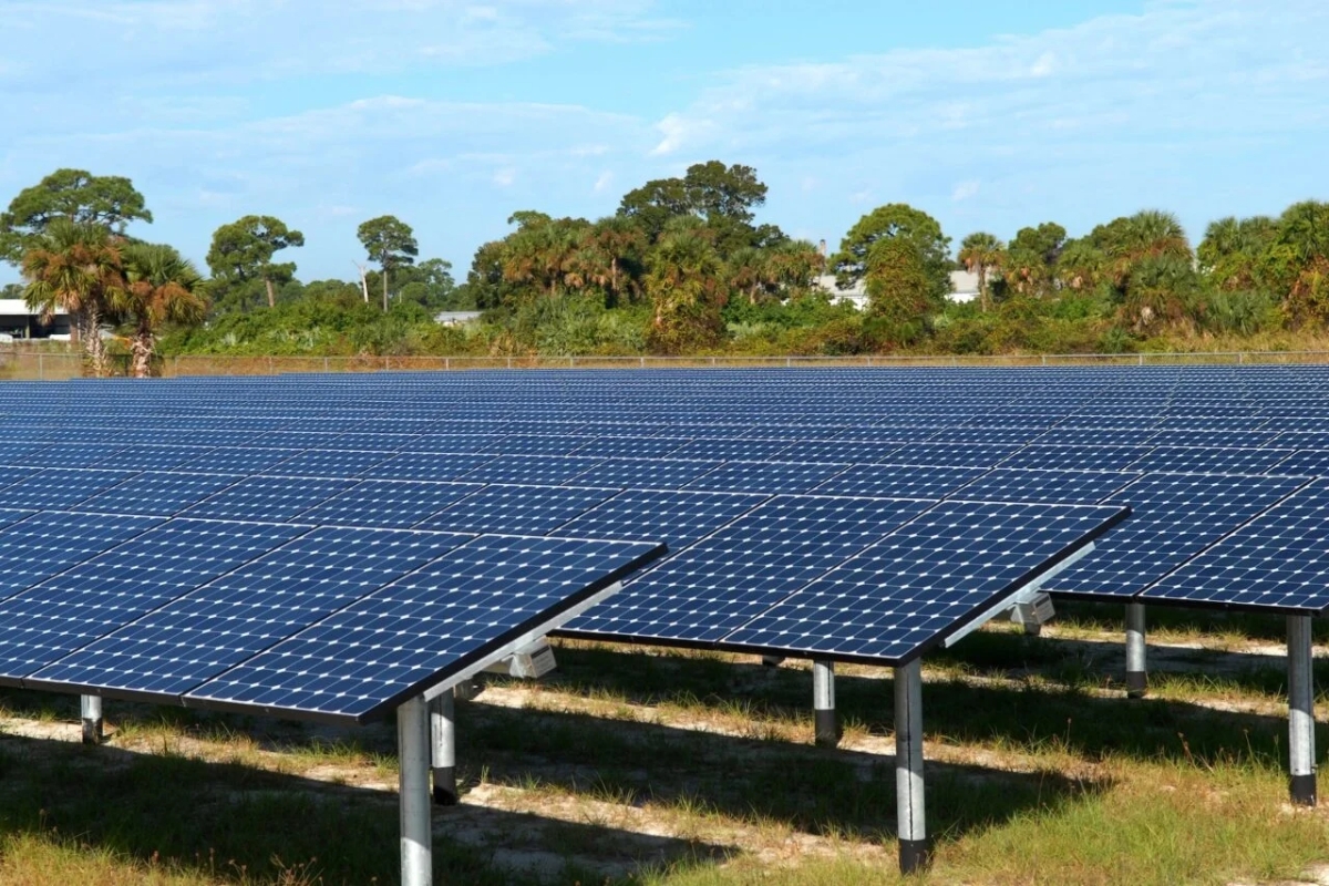 loi giai cho diem yeu lon nhat cua dien mat troi vua xuat hien hinh anh 1