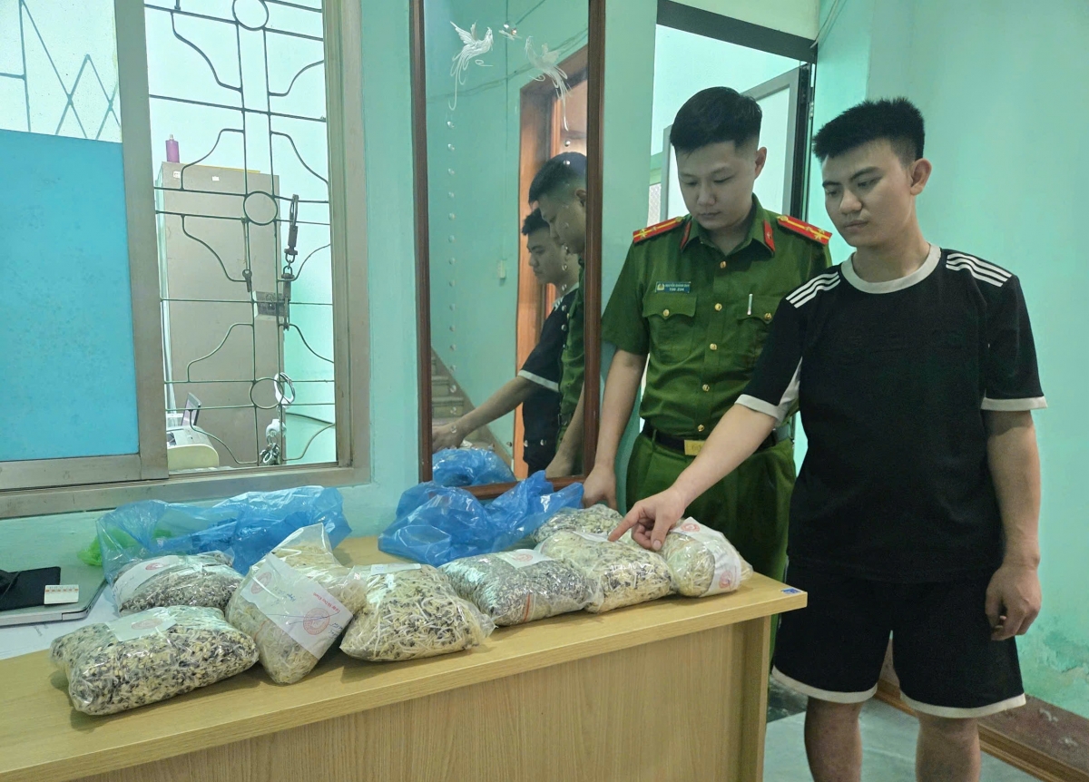 quang ninh phat hien, thu giu gan 2 tan gia do chua chat cam hinh anh 1