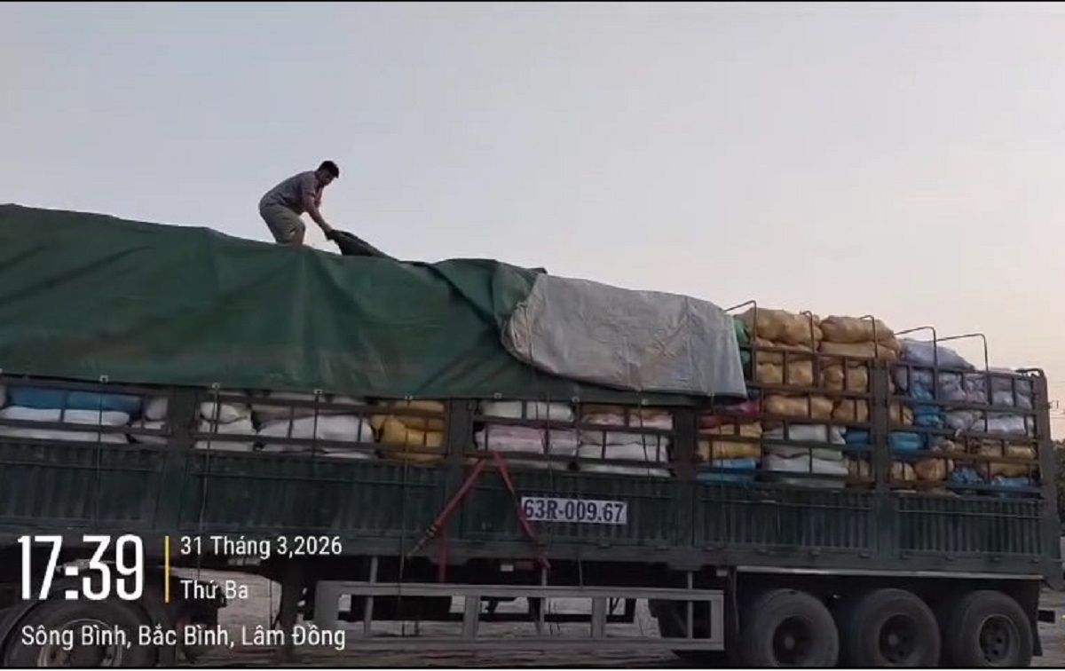 xe cho qua kho tren cao toc phan thiet - vinh hao bi xu phat hon 40 trieu dong hinh anh 1