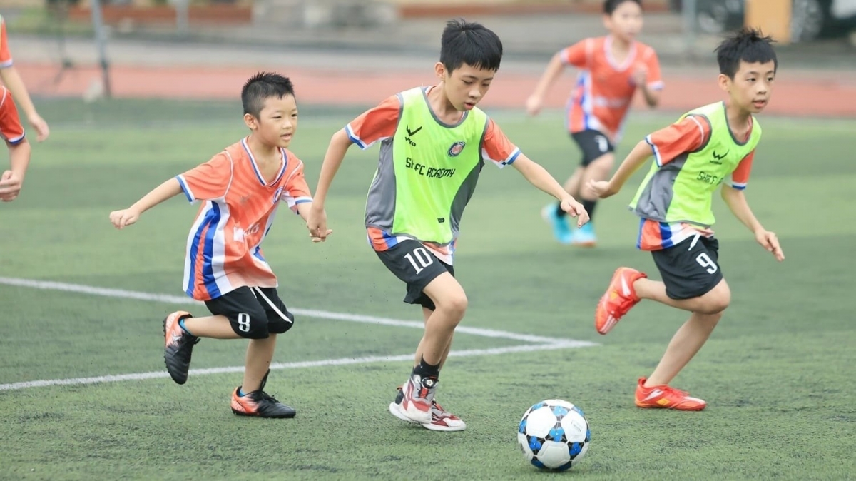 tu ngan hang hanh phuc den hanh trinh phung su va lan toa o shb hinh anh 1