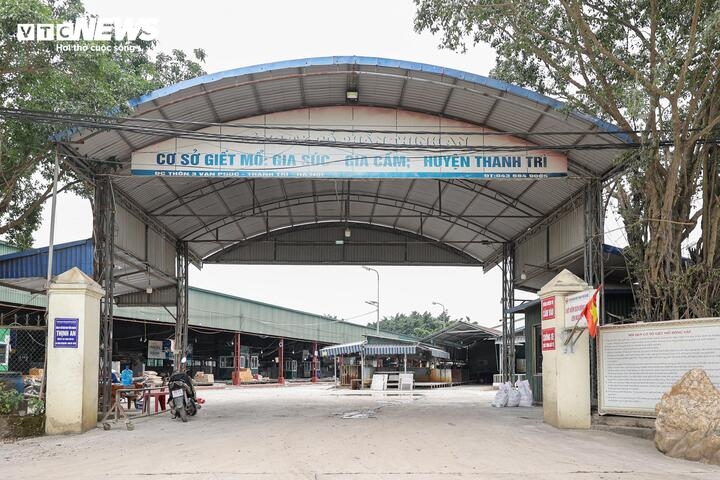 can canh lo mo tuon gan 300 tan lon benh vao truong hoc, cho dau moi o ha noi hinh anh 1