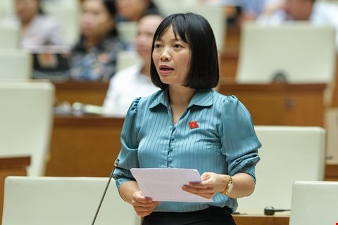 De xuat nlD nghi huong nguyen luong ngay 24 11 can danh gia tac dong da chieu hinh anh 1