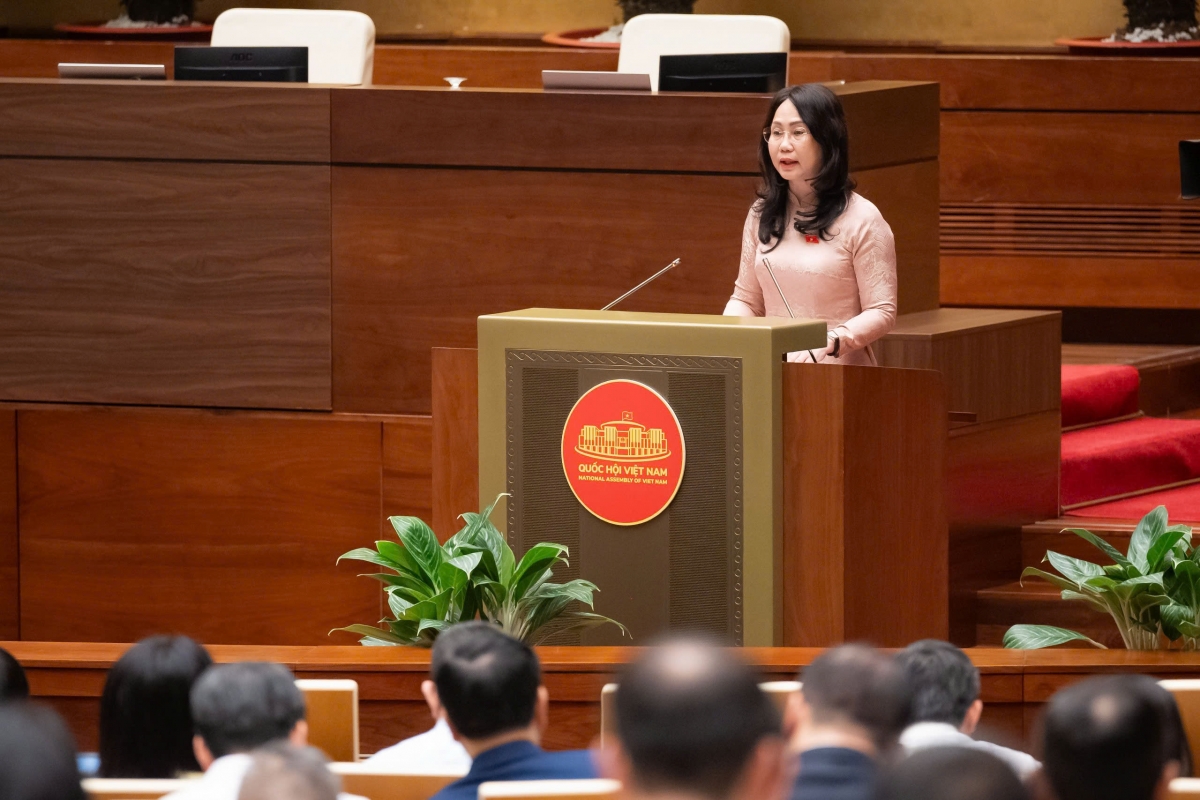 Dai bieu quoc hoi hien ke tao dot pha phat trien van hoa viet nam hinh anh 1