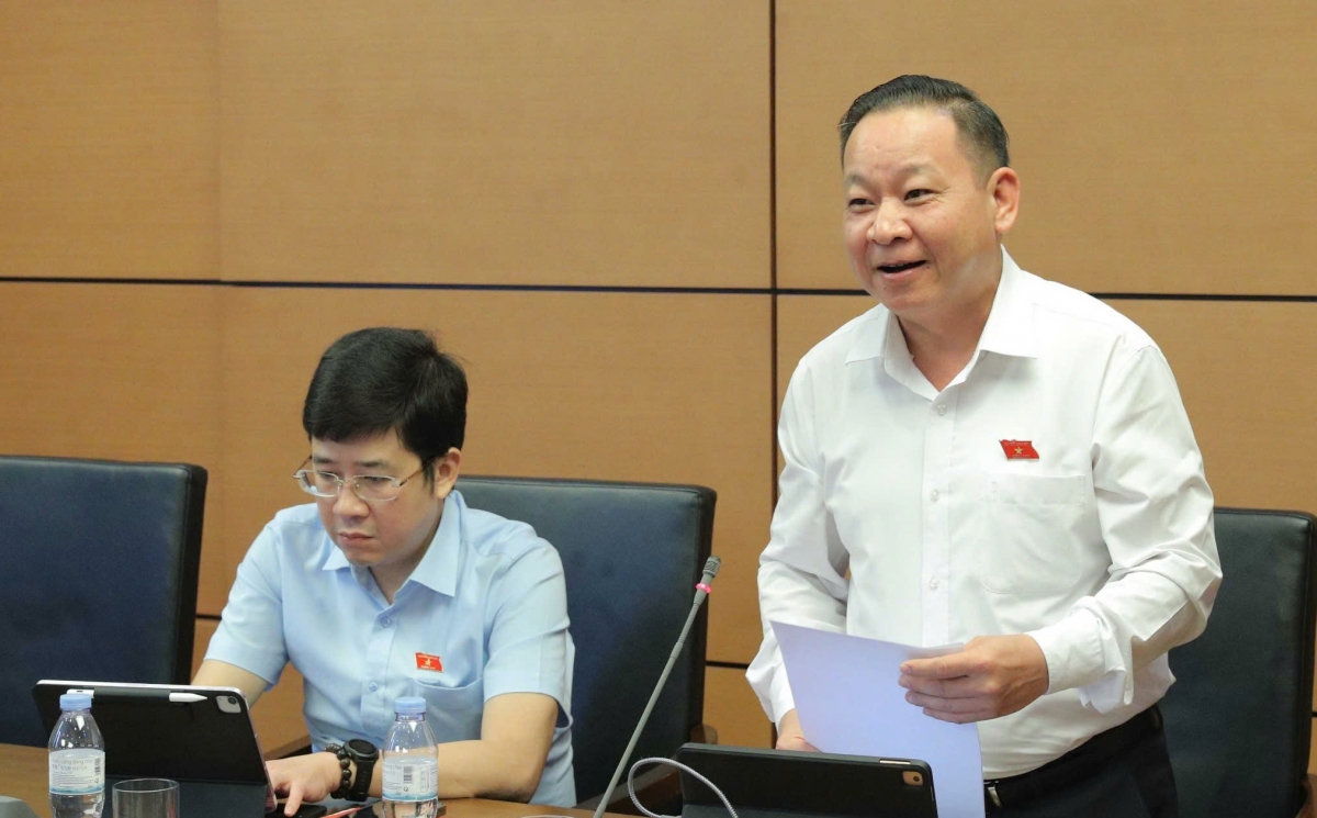 Dai bieu quoc hoi hien ke tao dot pha phat trien van hoa viet nam hinh anh 2