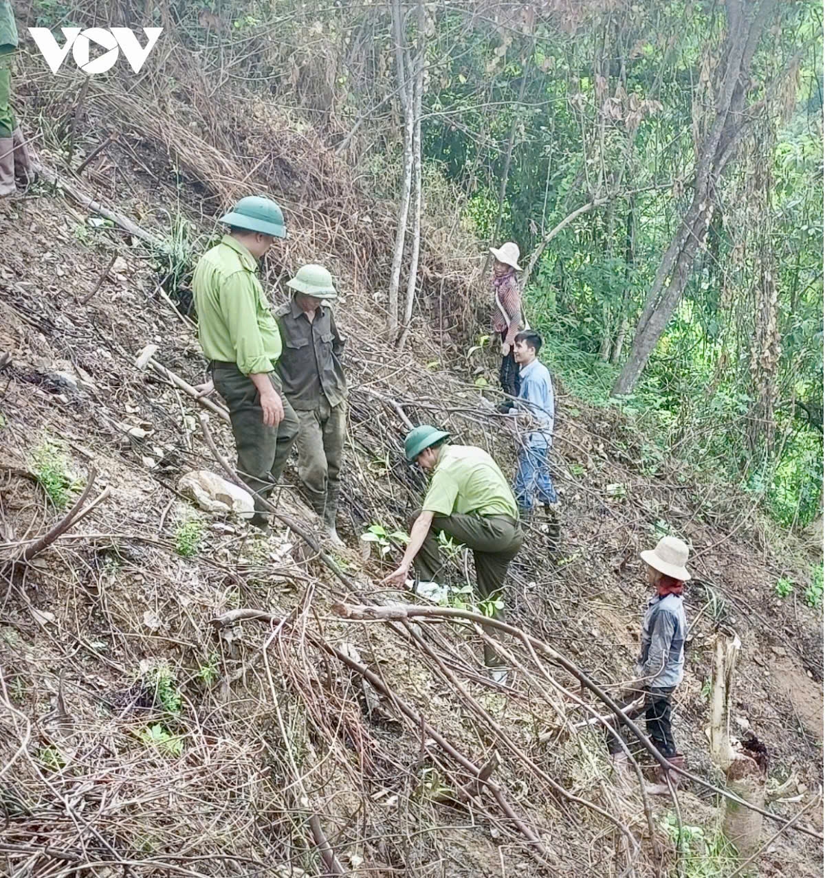 nang nong gay gat dien rong, son la canh phong 24 24h de chong chay rung hinh anh 2