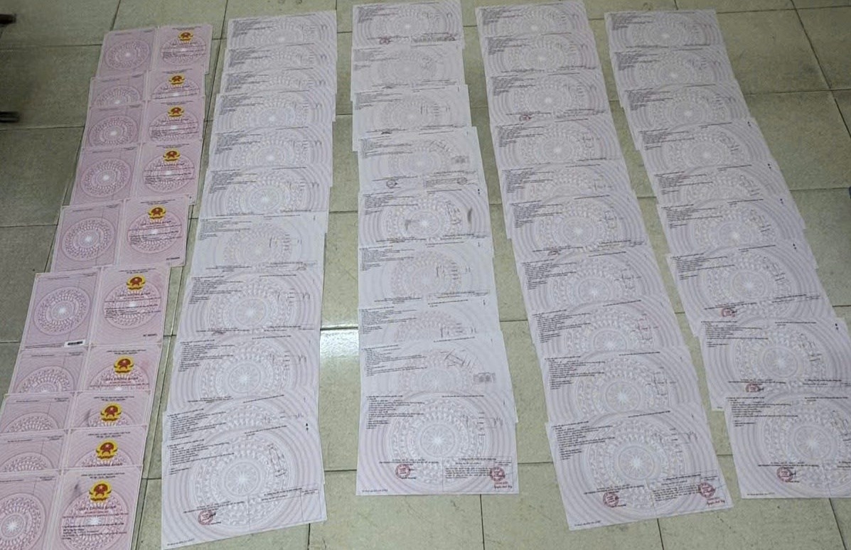 hai phong tam giu hinh su doi tuong lua dao chiem doat gan 180 ty dong hinh anh 2