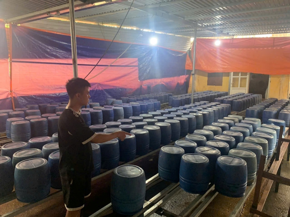 quang ninh phat hien, thu giu gan 2 tan gia do chua chat cam hinh anh 2