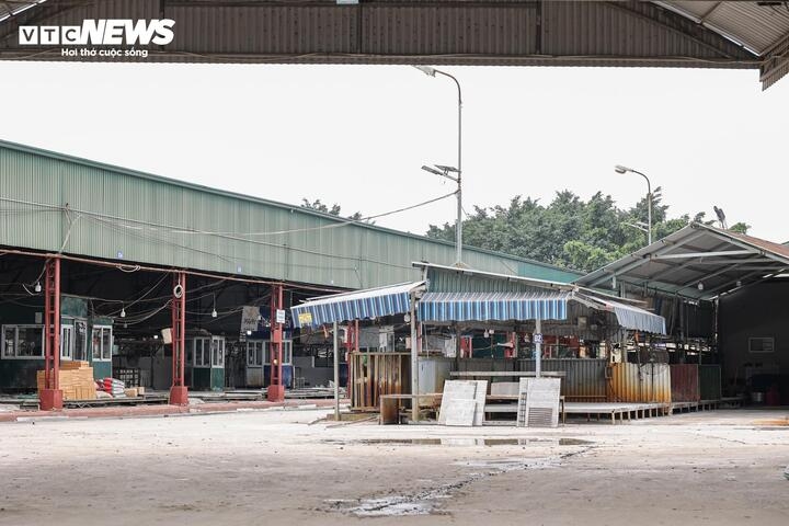 can canh lo mo tuon gan 300 tan lon benh vao truong hoc, cho dau moi o ha noi hinh anh 3