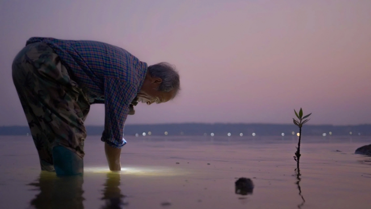 chuoi phim tai lieu mo ra nhung goc nhin it thay ve xa hoi viet nam hinh anh 3