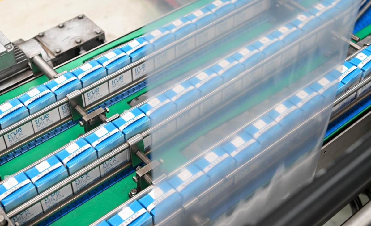  thu gom vo hop, lan toa song xanh 2026 tu hanh dong nho den vong tuan hoan xanh hinh anh 5