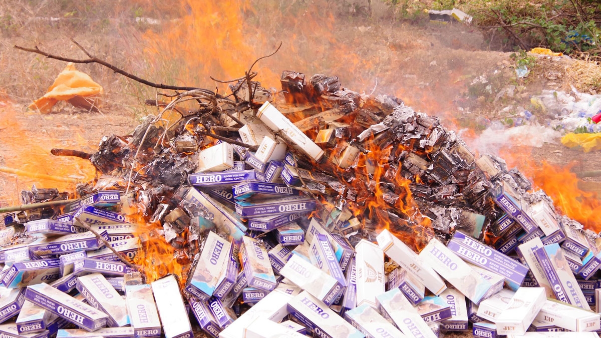 bo doi bien phong Dong nai tieu huy hon 10.600 bao thuoc la lau hinh anh 2