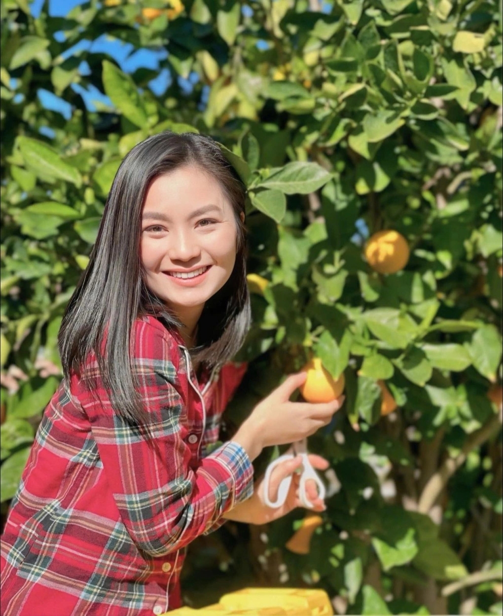 sao viet 26 4 quang minh ap luc khi lam bo o tuoi 66 hinh anh 8