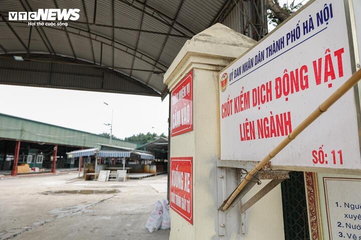 can canh lo mo tuon gan 300 tan lon benh vao truong hoc, cho dau moi o ha noi hinh anh 6