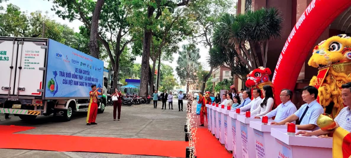 dong thap exports first batch of green-skin pomelos to australia picture 1