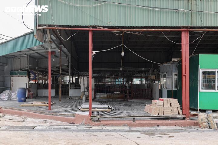 can canh lo mo tuon gan 300 tan lon benh vao truong hoc, cho dau moi o ha noi hinh anh 7