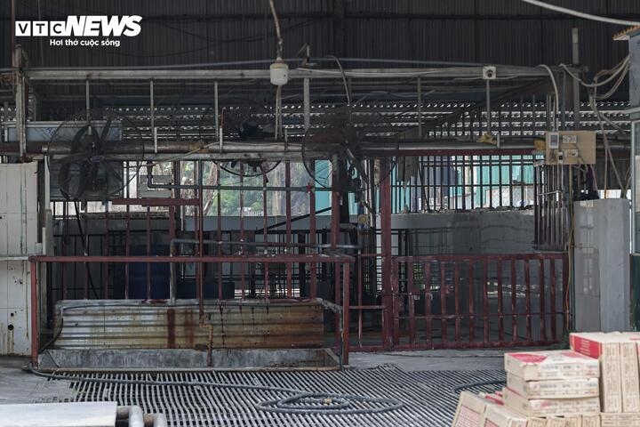 can canh lo mo tuon gan 300 tan lon benh vao truong hoc, cho dau moi o ha noi hinh anh 8