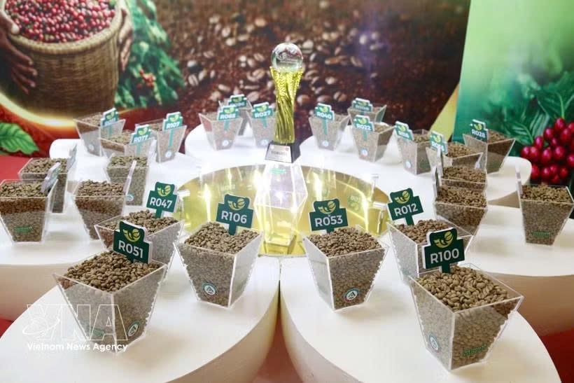 vietnam amazing cup 2026 reinforces quality benchmark for specialty coffee sector picture 1