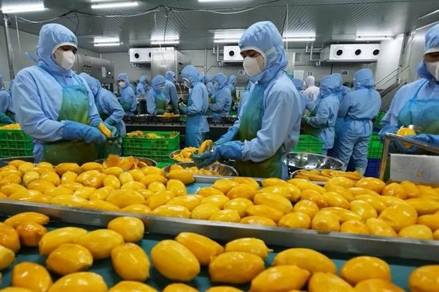 vietnam turns challenges into opportunities world bank picture 1