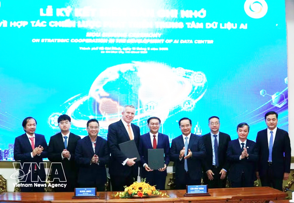 ho chi minh city sees surge in fdi for hi-tech data infrastructure picture 1
