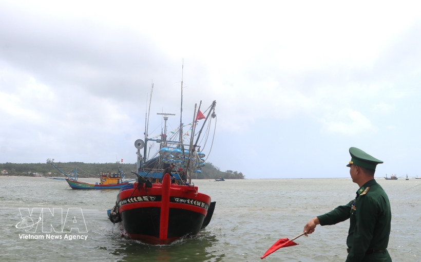 vietnam issues new control procedures to tackle iuu fishing picture 1