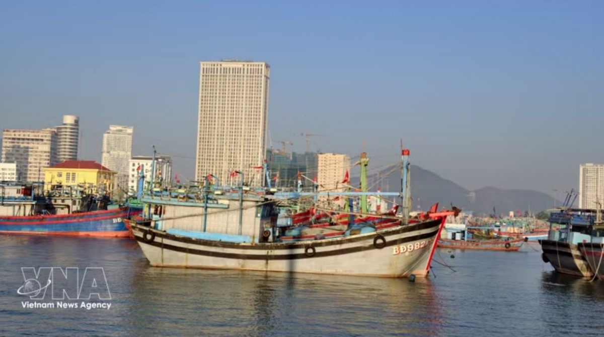 gia lai invests heavily to help fishermen shift livelihoods, combat iuu fishing picture 1